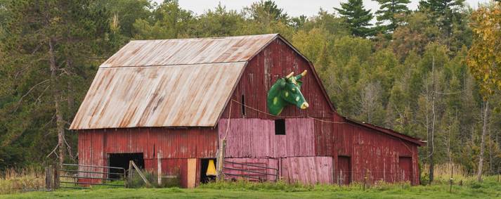 a huge green cow head mounted on the front of a barn
