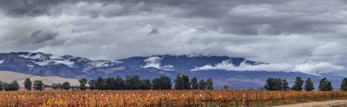 Overcast Salinas Valley