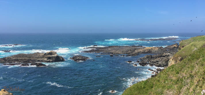 Another lovely day at the Mendocino Coast