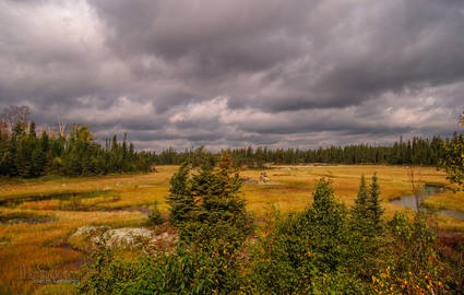 A landscape in the Ontario Badlands