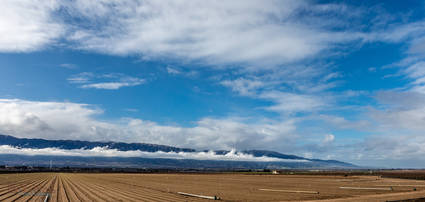 Salinas Valley Farmlands