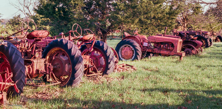 Row of Old Tractors
