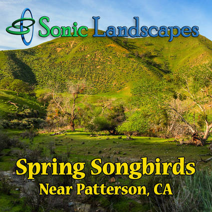 Spring Songbirds Cover