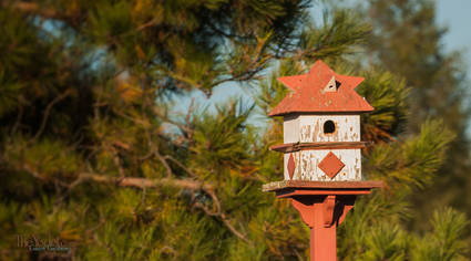 Lone Pine Motel Birdhouse