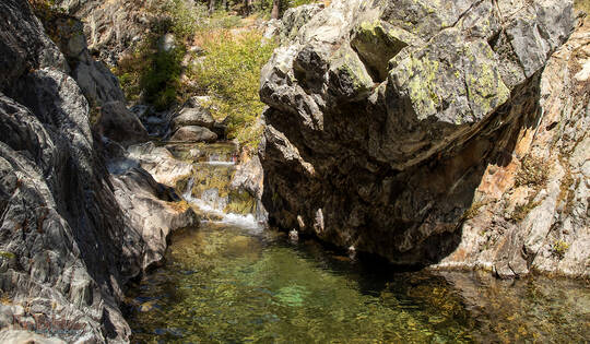 Swimming Hole