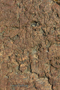 Rock Texture