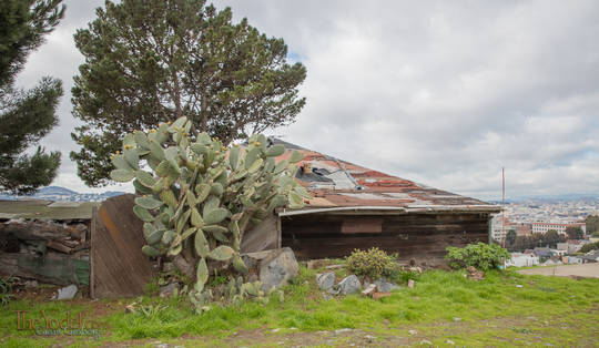 Run down shed