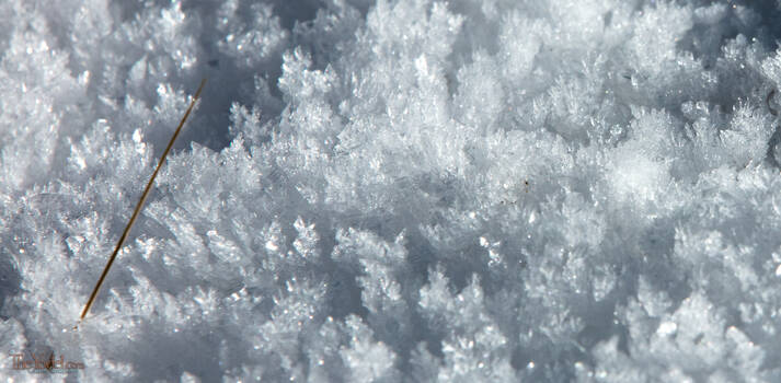 Crystal Growth Snow
