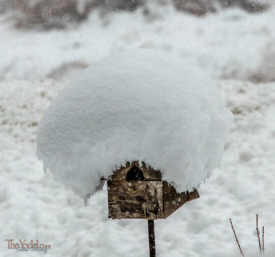 Snow-Heaped Roof