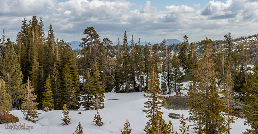 View of Beckwourth Peak