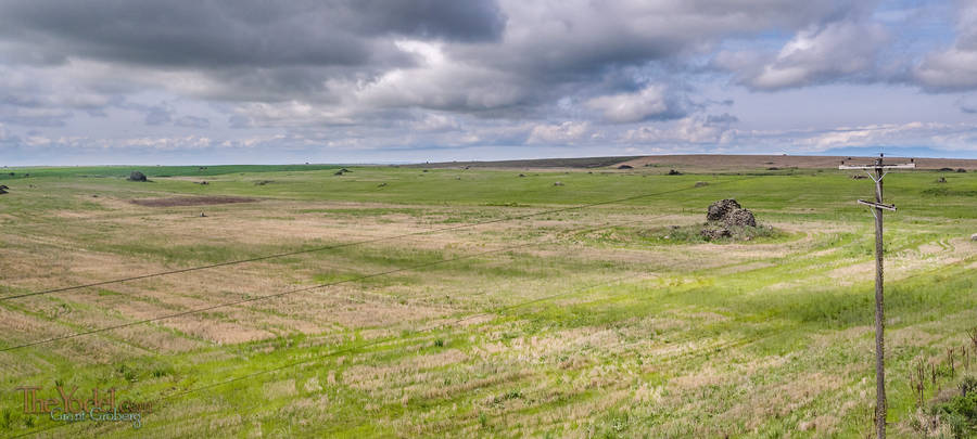 Hayfileds with Stones