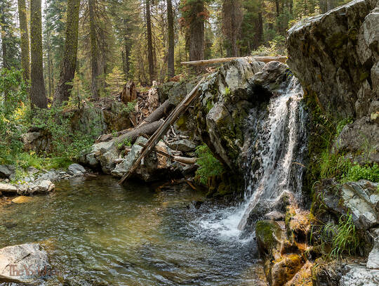 Falling Water