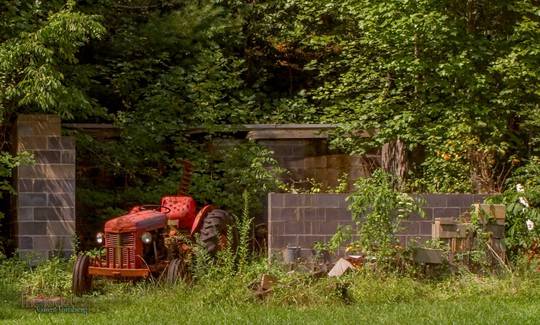 a little red tractor out in the woods