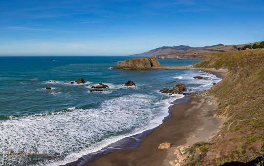 Goat Rock Beach