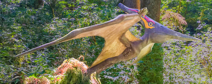 Pterodactyl