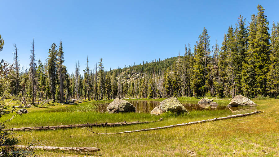 Pond with Rocks