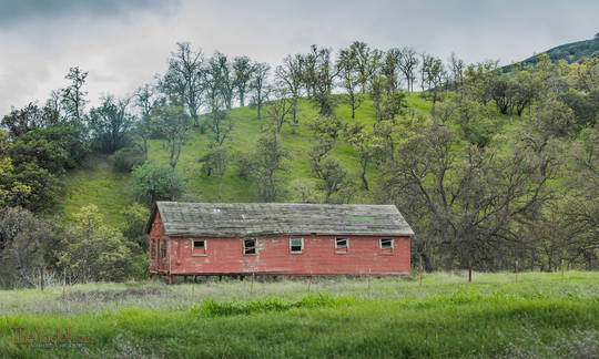 Red Building