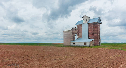 Grain Elevator