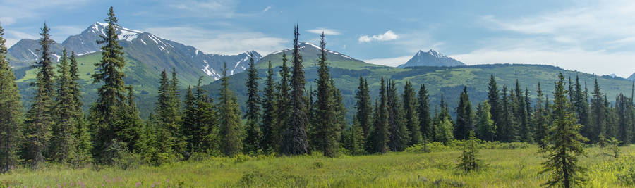 Tundra & Mountains