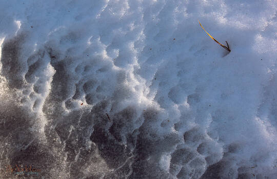 Wind Sculpted Snow