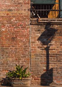 Planter Wall Shadow