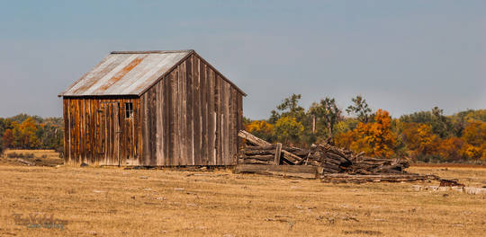 weathered shack