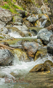 Mountain Stream