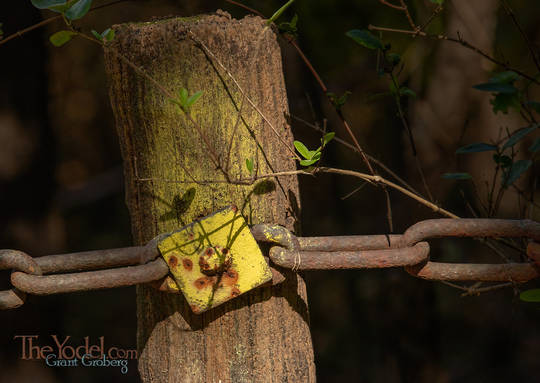 Chained Fence Post