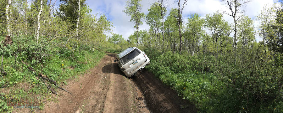 Stuck in the Mud