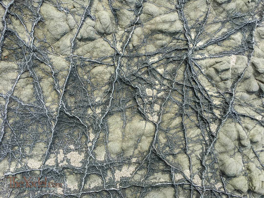 Weathered Quartz Veins in Sandstone