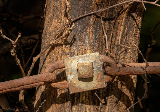 Fencepost with Chain