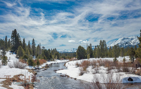 West Fork of the Carson River