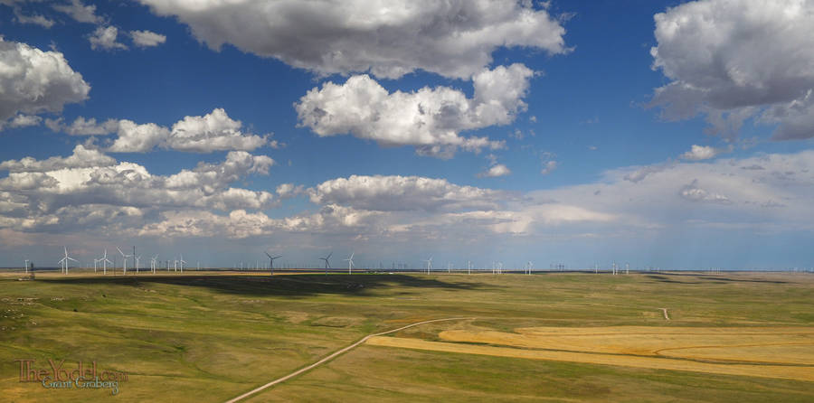 Windmills to the Horizon