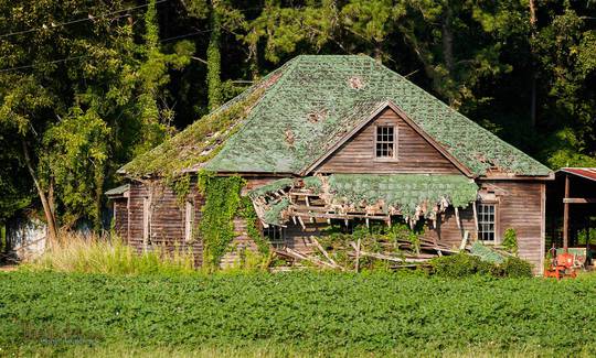 a disintegrating house in the North Carolina Midlands