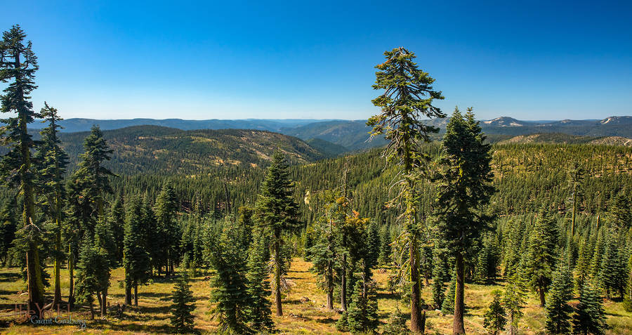 Pacific Crest Trail Looking West