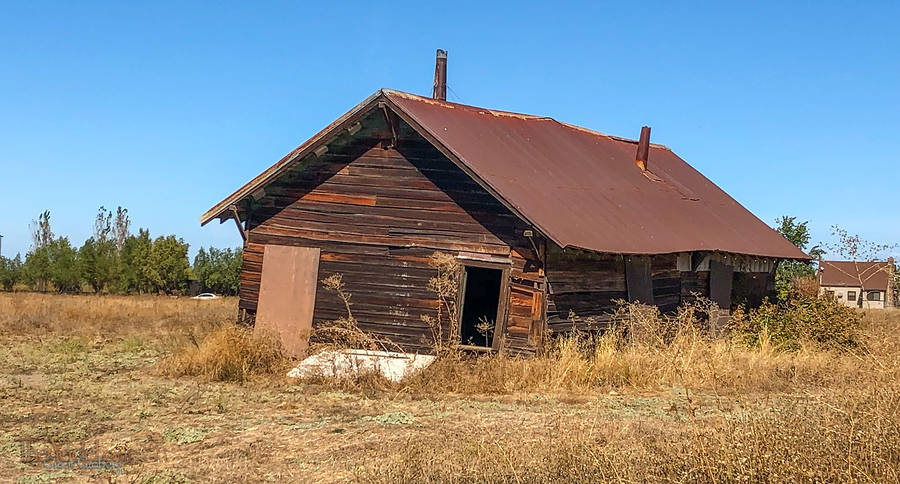 Leaning Shed of Butte Country