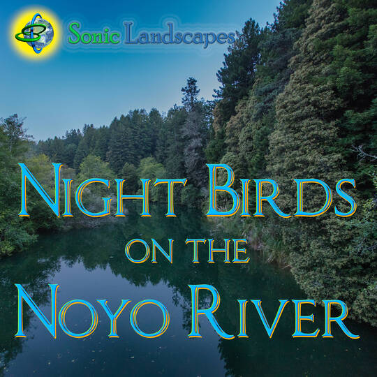 NoyoNightbirds_cover