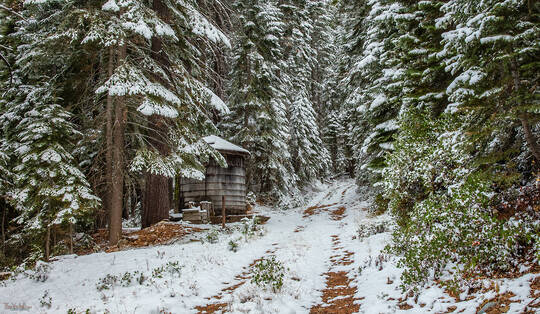 Snowy Path