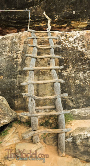 Rustic Ladder