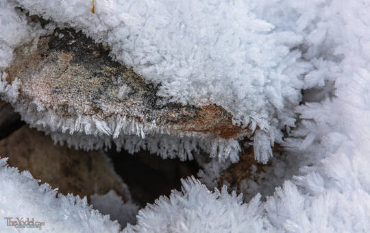 Crystal Growth Snow