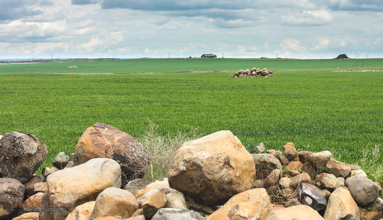 Stone Piles