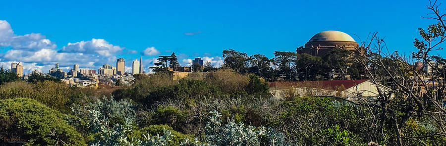 Palace of Fine Arts from Crissy Field Marsh