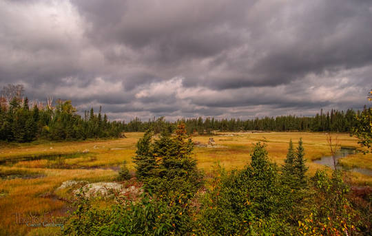 A landscape in the Ontario Badlands