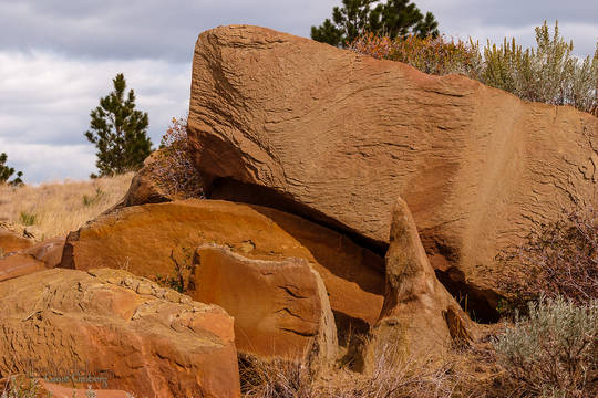 Whale stone