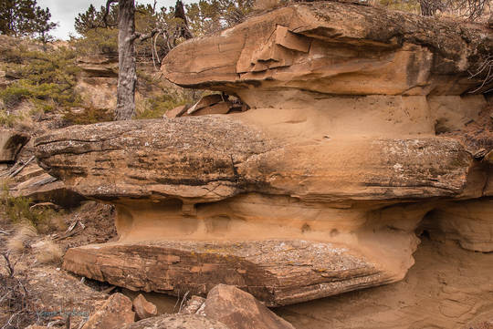 Sandstone Shelves