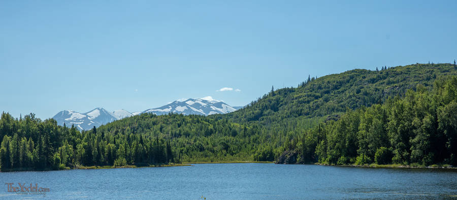 Lake, Mountain, Forest