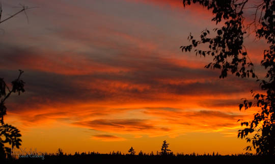 a sunset seen from the deck of the Kinnawabi Pines Restaurant