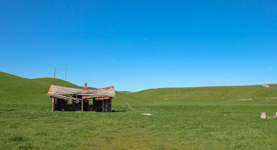 This Old Shed