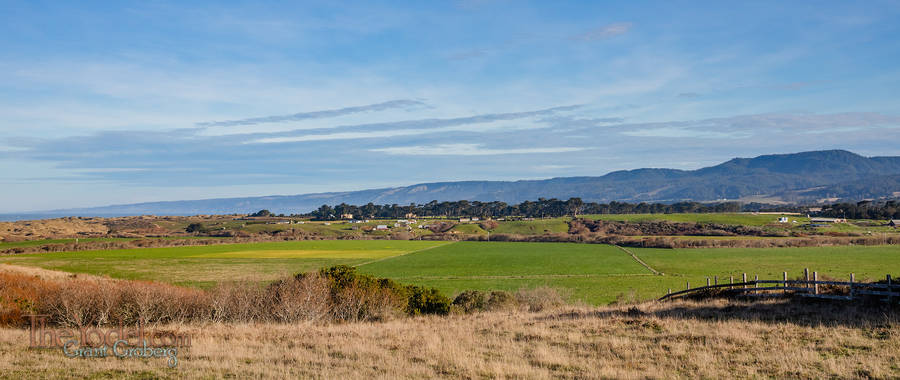 Point Arena Farmland