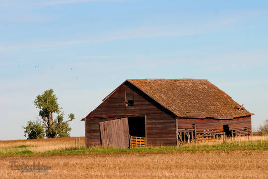 an outbuilding in South Dakota